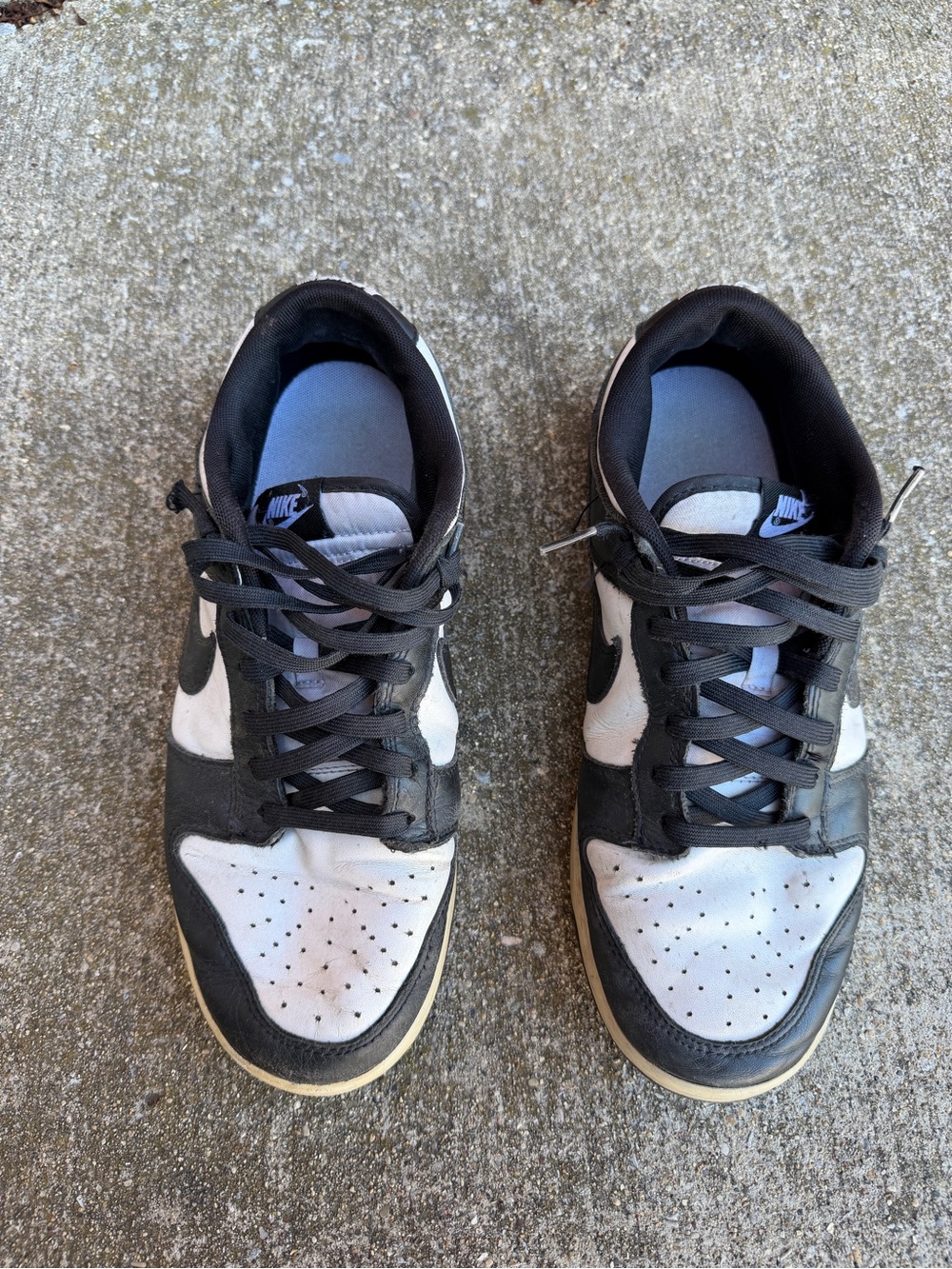 Nike Dunks Black and White Men’s Low-Top Sneakers